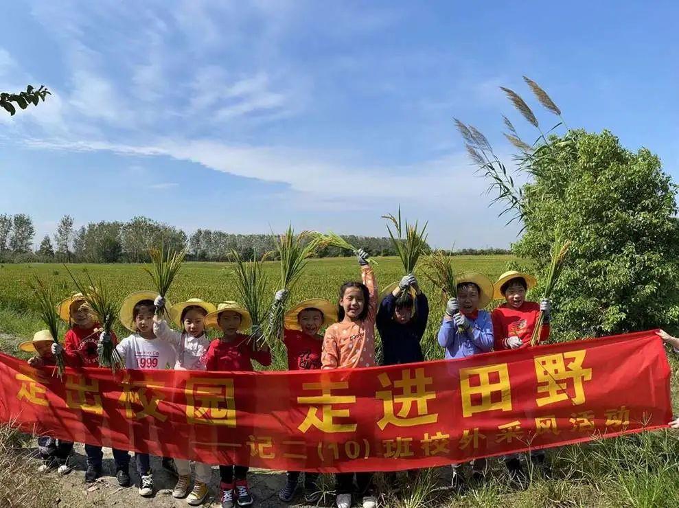 顶天立地男子汉满面春风喜洋洋是什么生肖详细解答、解释与落实、构建解答解释落实