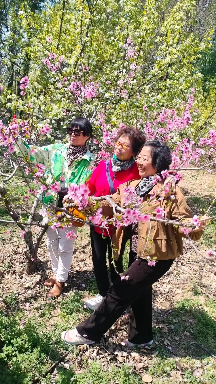 三五一群来不尽 品茗偿饼不知眠打一生肖,警惕虚假宣传落实,实时解答解释落实
