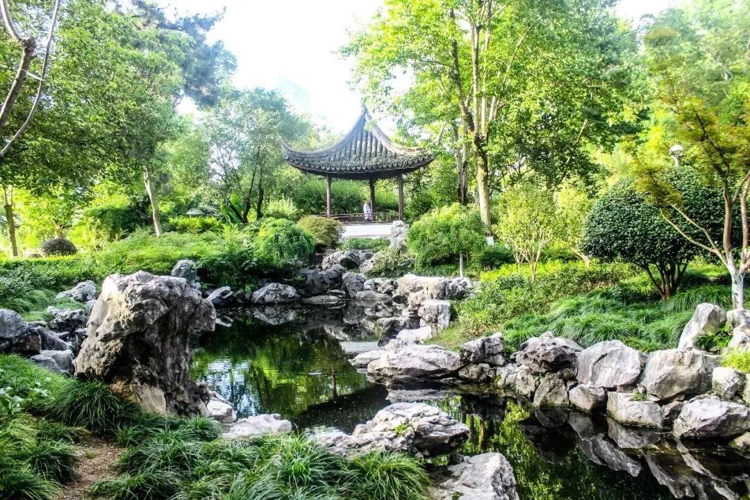 凉风吹面心清爽 垂涎三尺乐悠悠 是什么生肖详细解答、综合解答解释落实