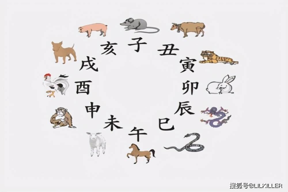 心情难以平静下，七上八下心不专打一个准确生肖，全面释义、综合解答解释落实