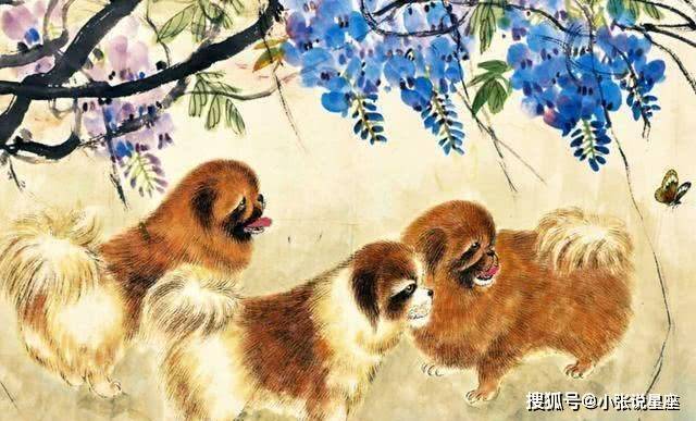 若非群玉山头见打一正确生肖，详细解答、定量解答解释落实